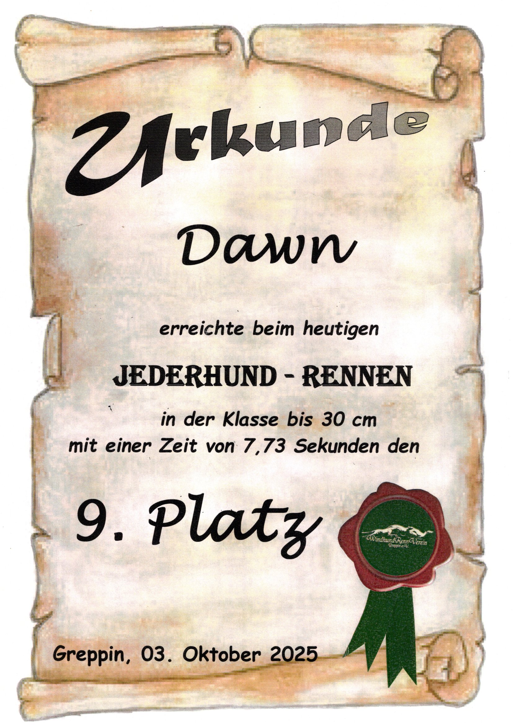 Hunderennen Dawn