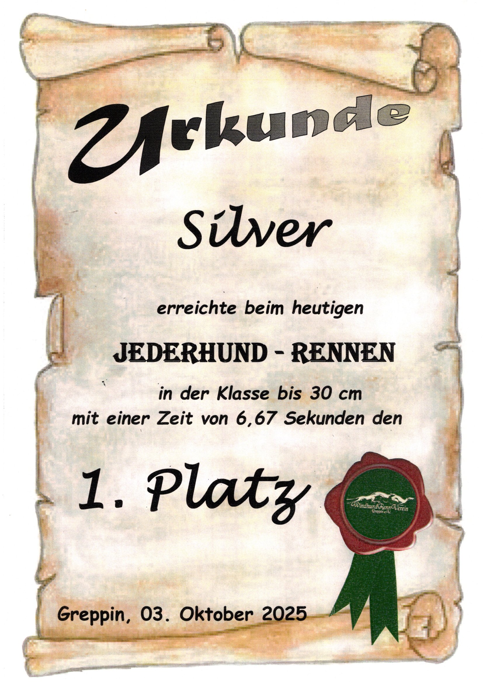Hunderennen Silver
