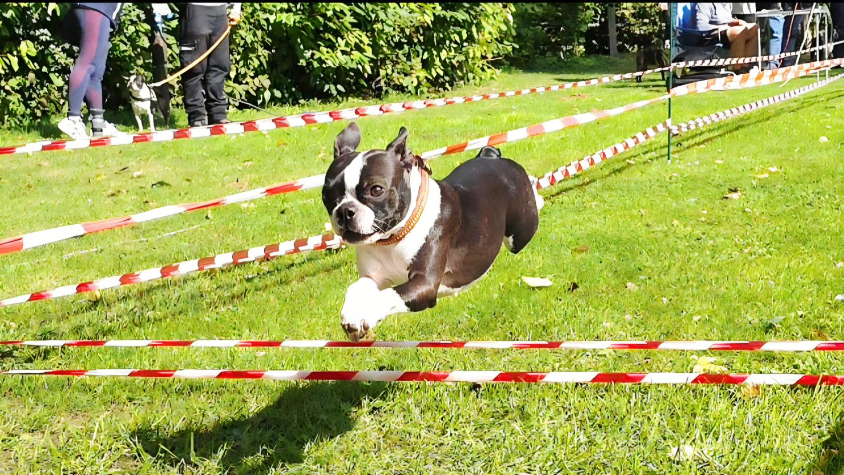 Screenshot 20250915 080109 Facebook