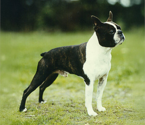 Ehrungen