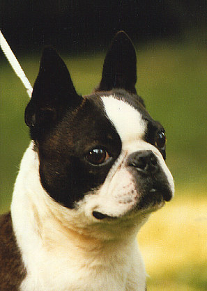 beau1