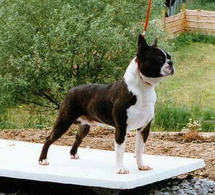 beau10